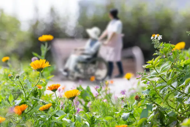 Hospice Care Providers Deserve Recognition