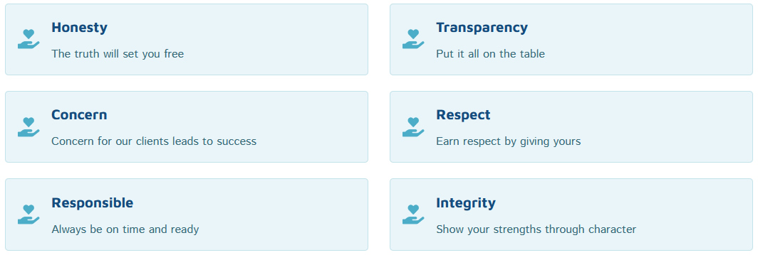Cerna values